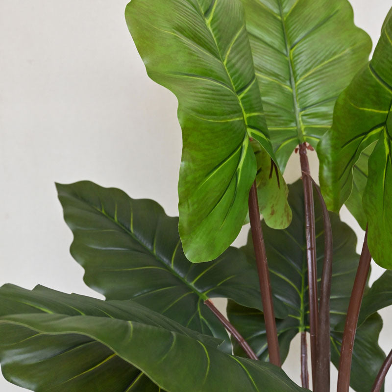 Faux Everlasting Alocasia Plant With Black Plastic Pot - 90 cm (3 ft) media 4