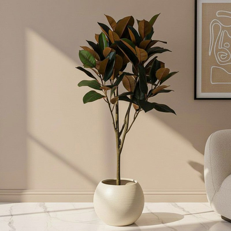 Folialis Artificial Red Rubber Plant With Black Plastic Pot - 5 Feet