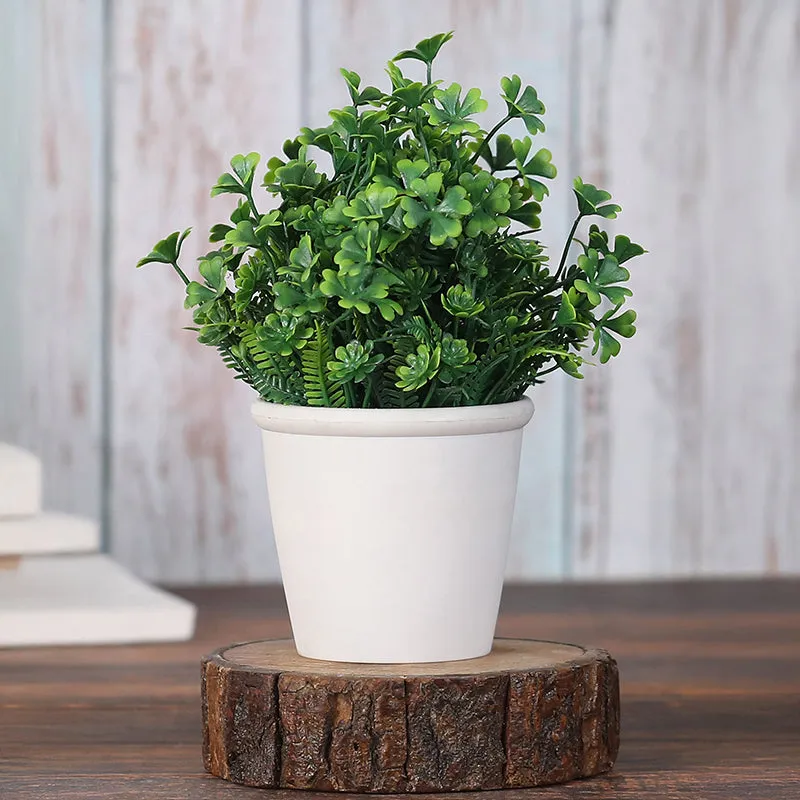 Belka Artificial Plant With Black Plastic Pot - Set Of Two media 5