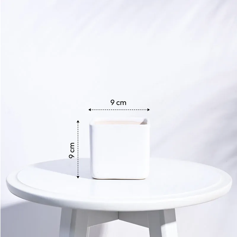 Ugaoo Square White Ceramic Pot media 6