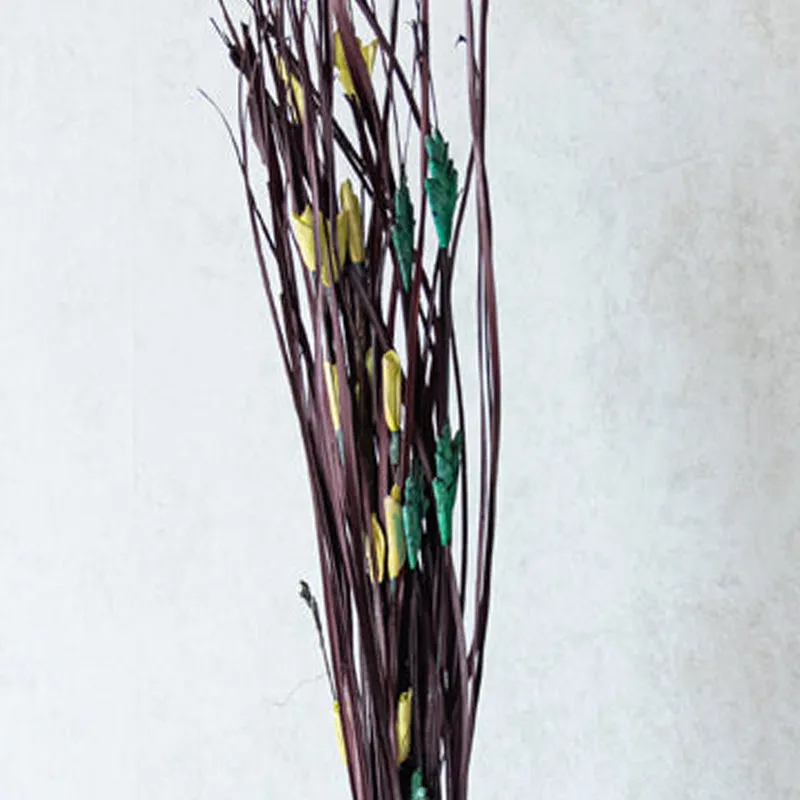 Delfrin Dried Stem media 5