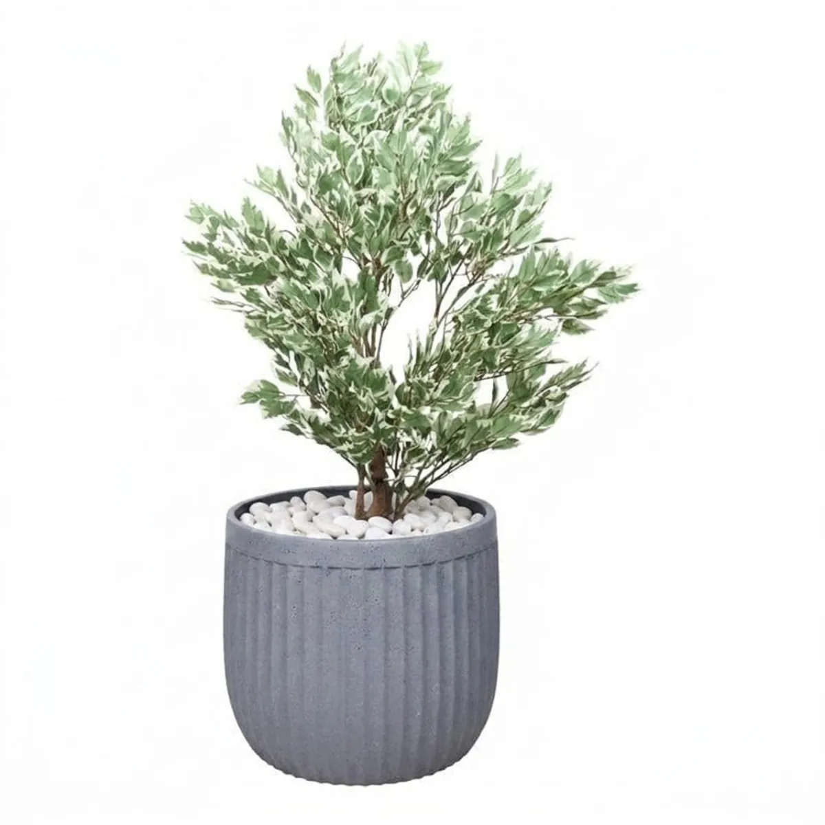Grey planter with a leafy plant displayed against a white background.