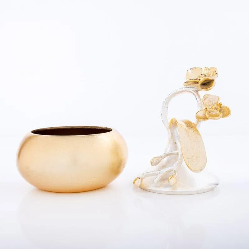 Vanda Flow Showpiece media 4