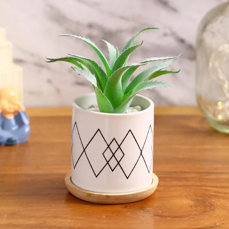 Faux Aloe Vera In Minimalist Pot - 14 cms media 1
