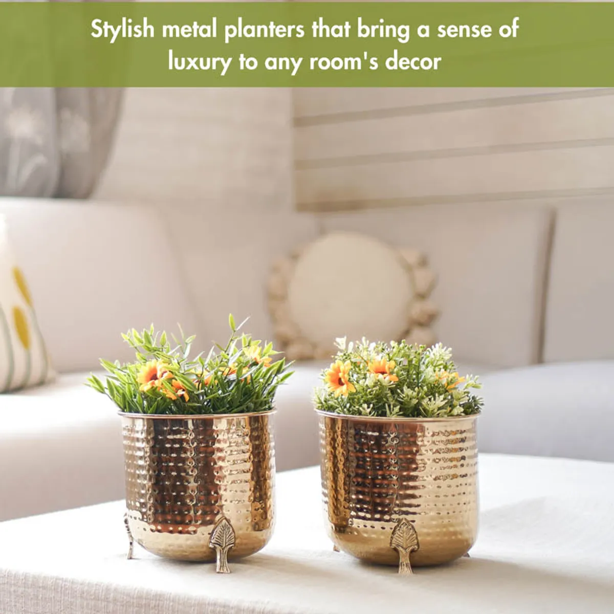 Pair of gold hammered metal planters styled on a coffee table