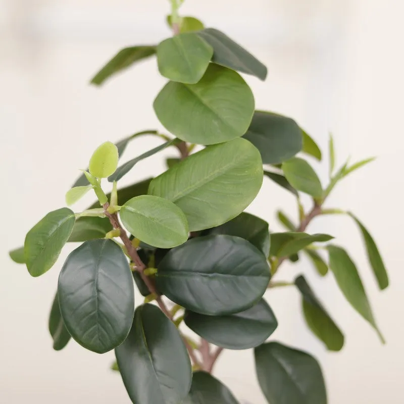 Artificial Dark Green Natural Looking Quercus Leaf Plant With Black Fiber Pot - 1.2 Feet media 6