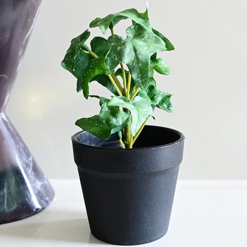 Ivette Artificial Mini Ivy Plant With Basic Black Plastic Pot (Green) - 16 cm media 5