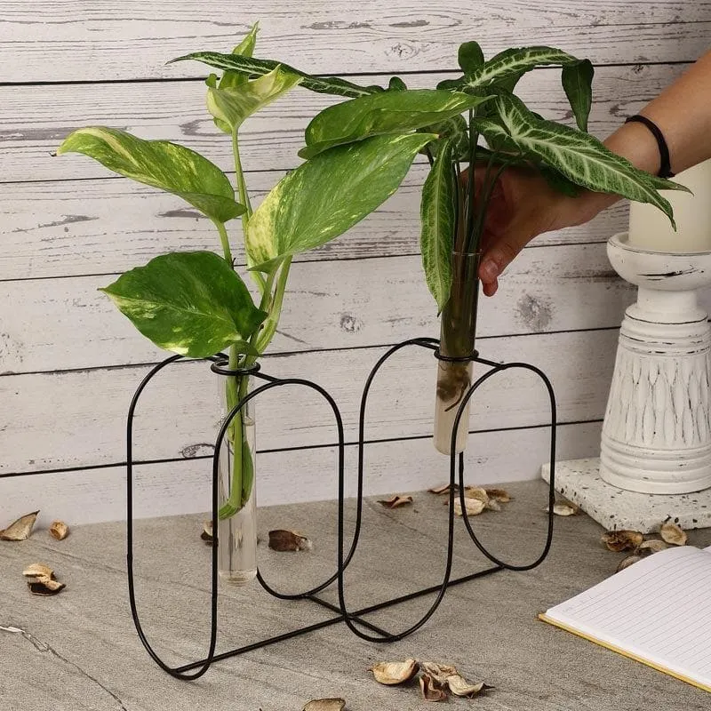 Dual Circuit Testube Planter media 3