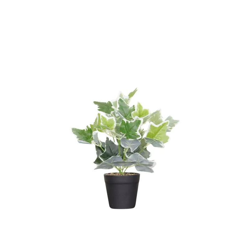 Artificial White Ivy Plant With Black Fiber Pot - 0.9 Feet media 4