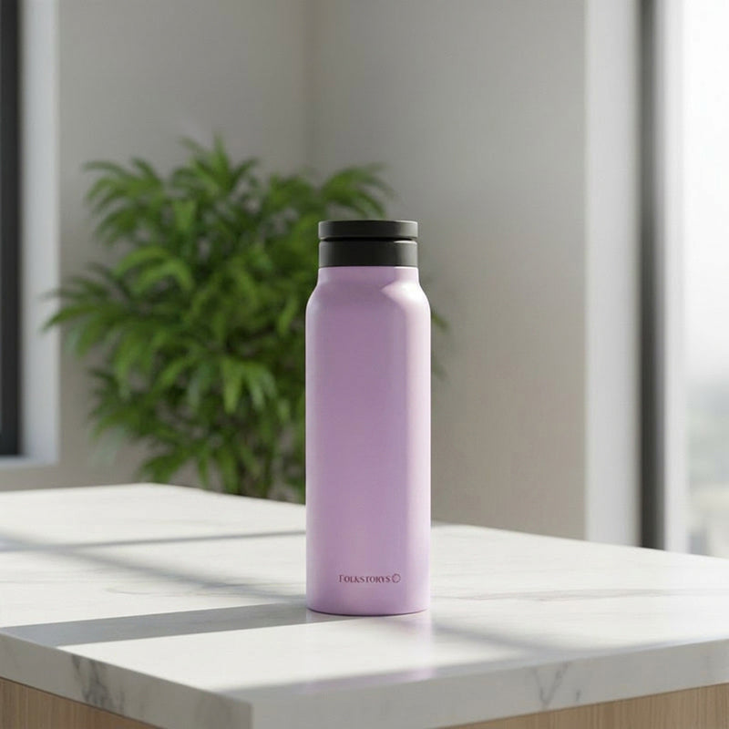 Insulated Stainless Steel Water Bottle - 750 mL