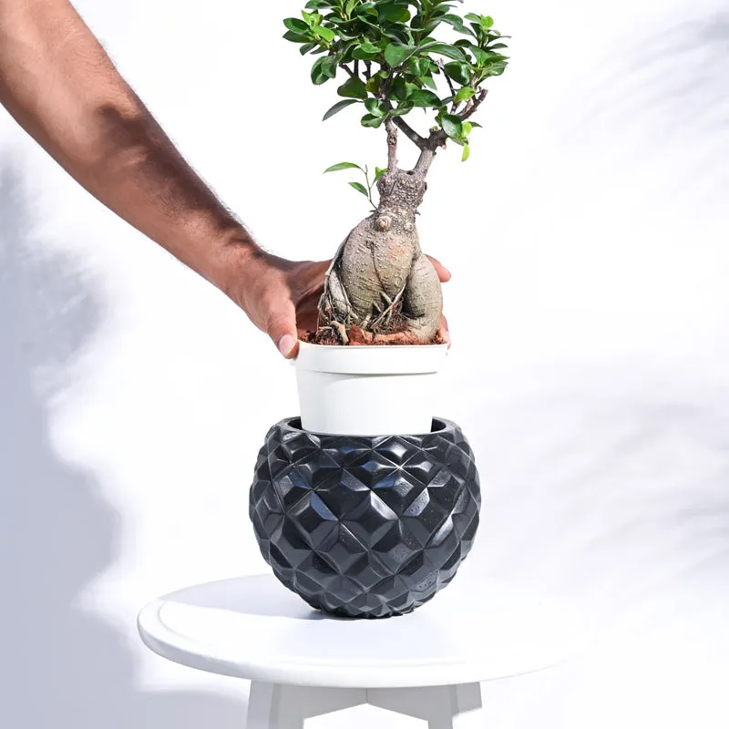 Hand placing a white nursery pot into a black textured planter