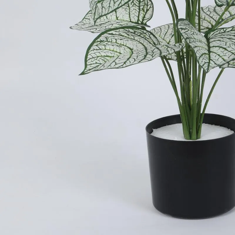 Faux Tropica Dieffenbachia Silk Plant With Black Plastic Pot - 2.13 ft media 6