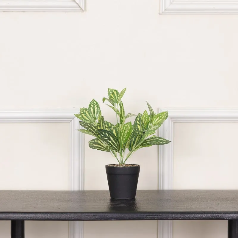 Watermelon Pilea Artificial Plant With Black Fiber Pot - 0.9 Feet media 3
