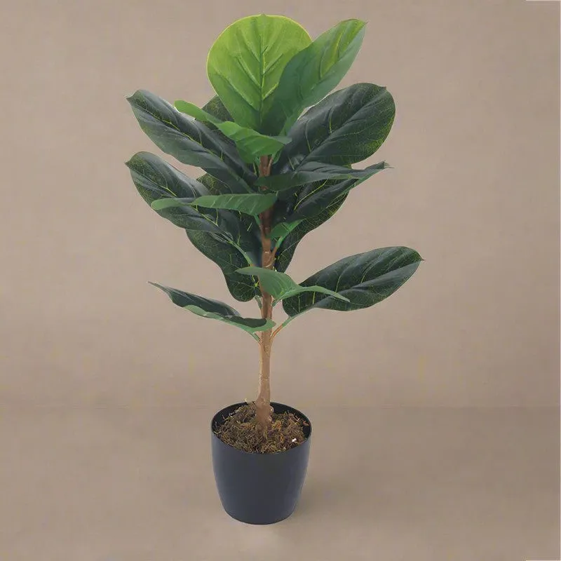 Faux Realtouch Green Fiddle Leaf Fig Tree With Black Plastic Pot - 2.5 Feet media 3