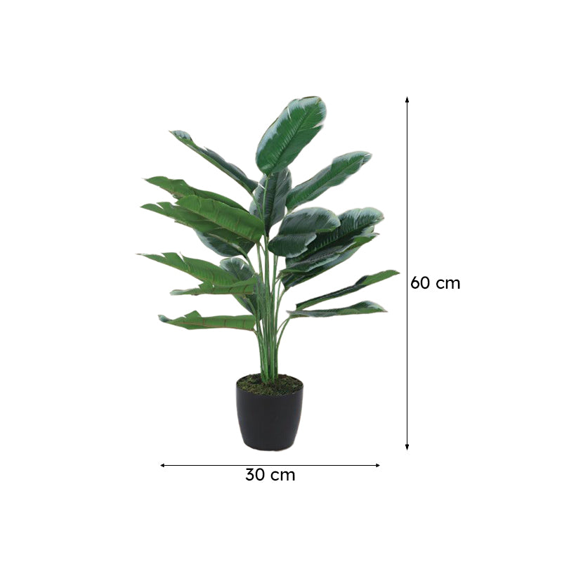 Faux Mini White Calathea Plant With Black Plastic Pot - 60 cms media 6