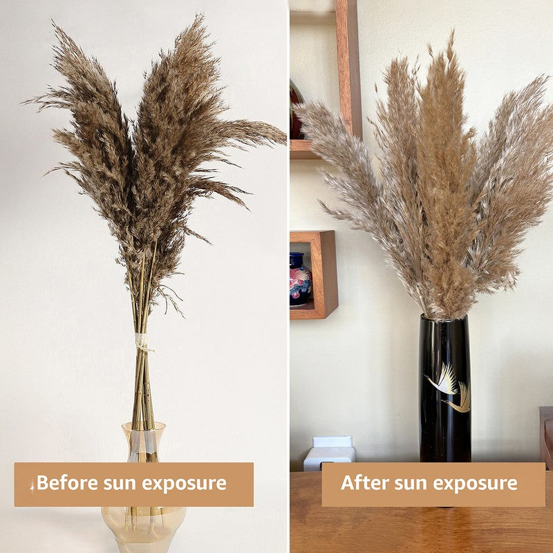 Artificial Rustic Pampas Stem - Set Of Five media 5