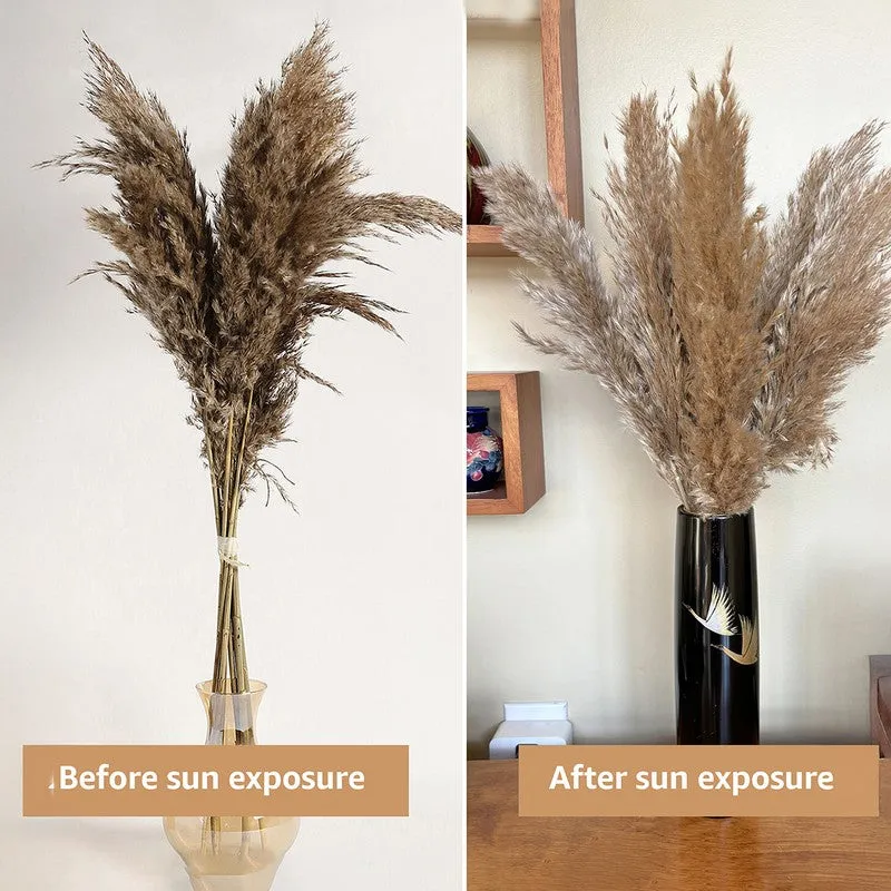 Artificial Rustic Pampas Stem - Set Of Five media 5