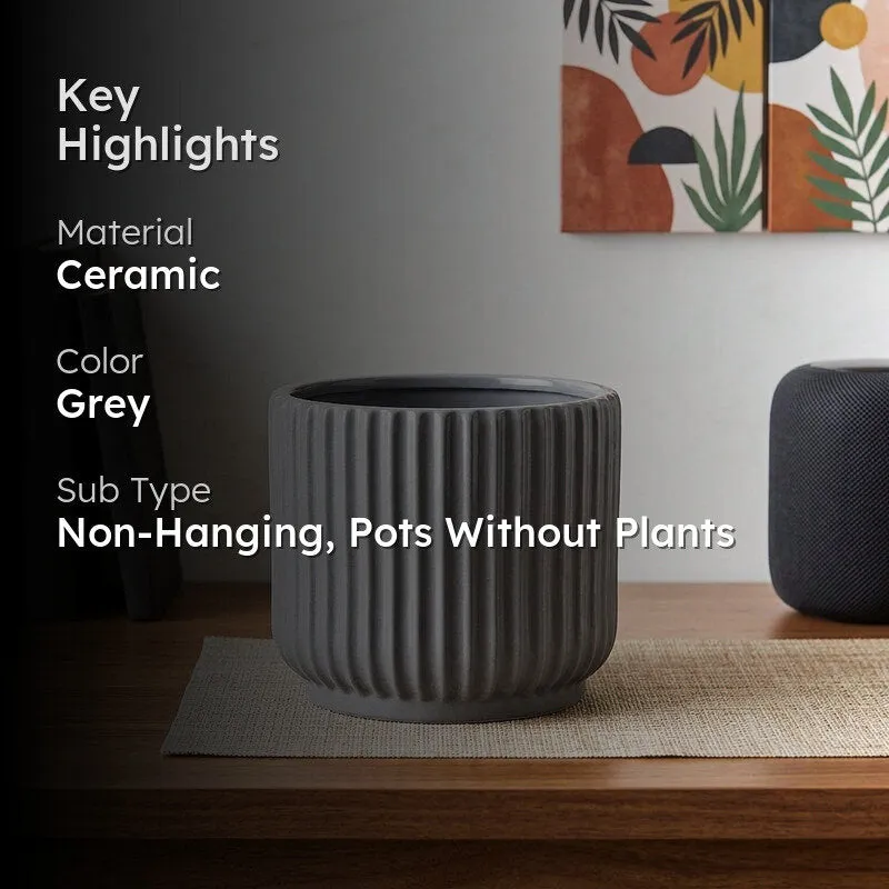 Ugaoo Phoenix Ceramic Pot (25 CM) - Grey media 2