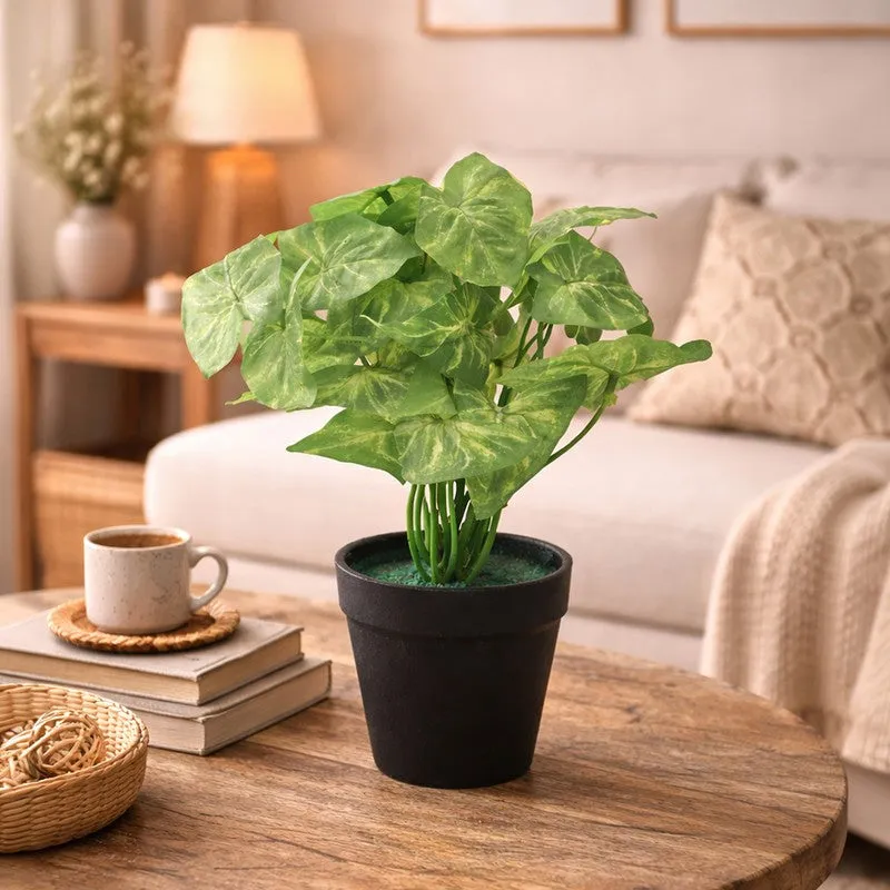 Neonix Monstera Artificial Plant With Plastic Pot - 0.8 Feet media 6