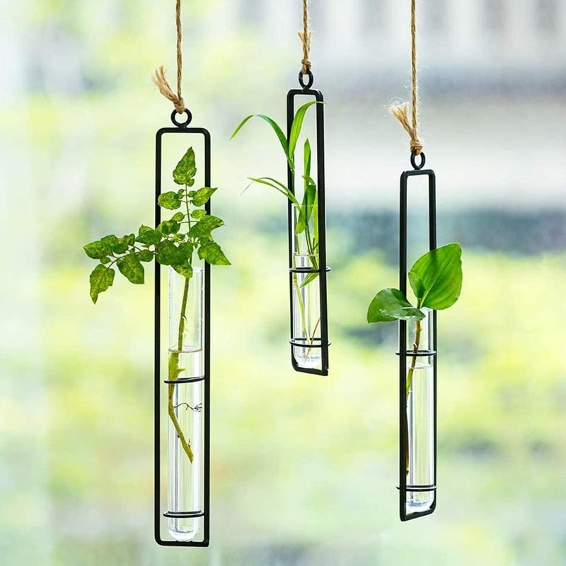 Glass