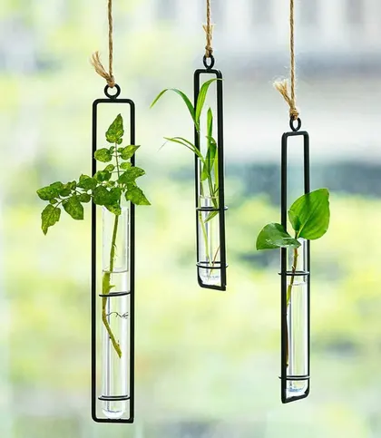 Glass