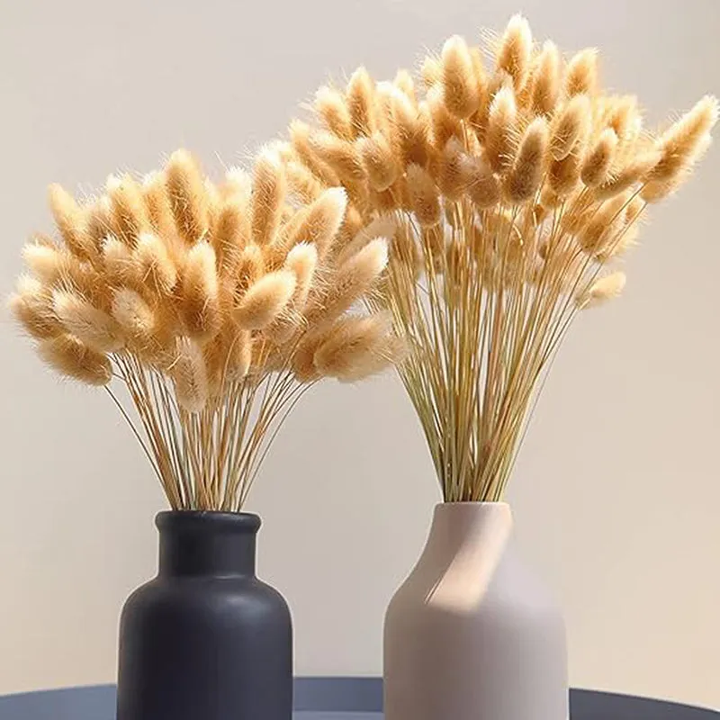 Cloudtail Dried Bunny Tail Stem (Beige) - Set Of Sixty media 4