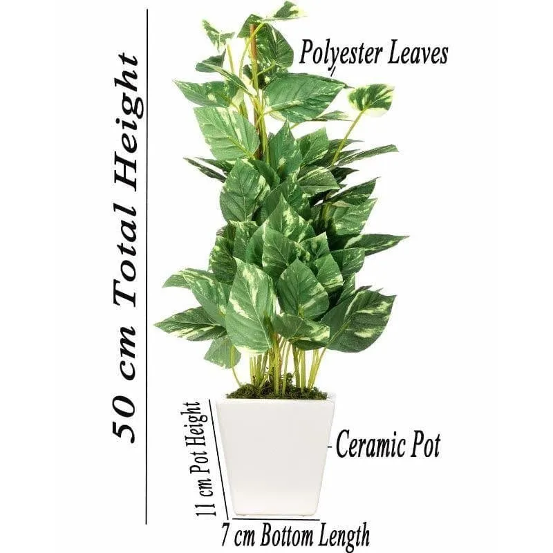 Faux Pothos Bonsai In Cone Pot (50 cms) - Big media 4