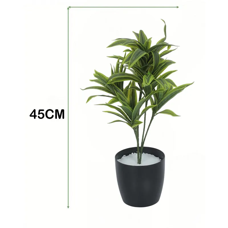 Edeth Artificial Dracaena Plant With Black Plastic Pot - 1.3 Feet media 5