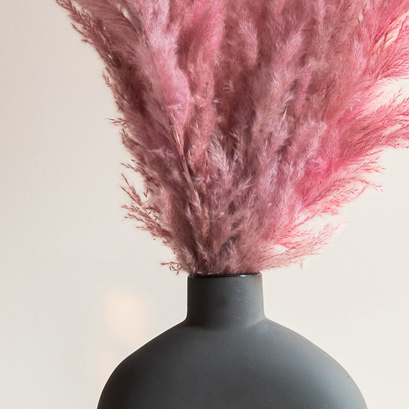 Sittora Pampas Stick (Pink) - Set Of Ten media 3