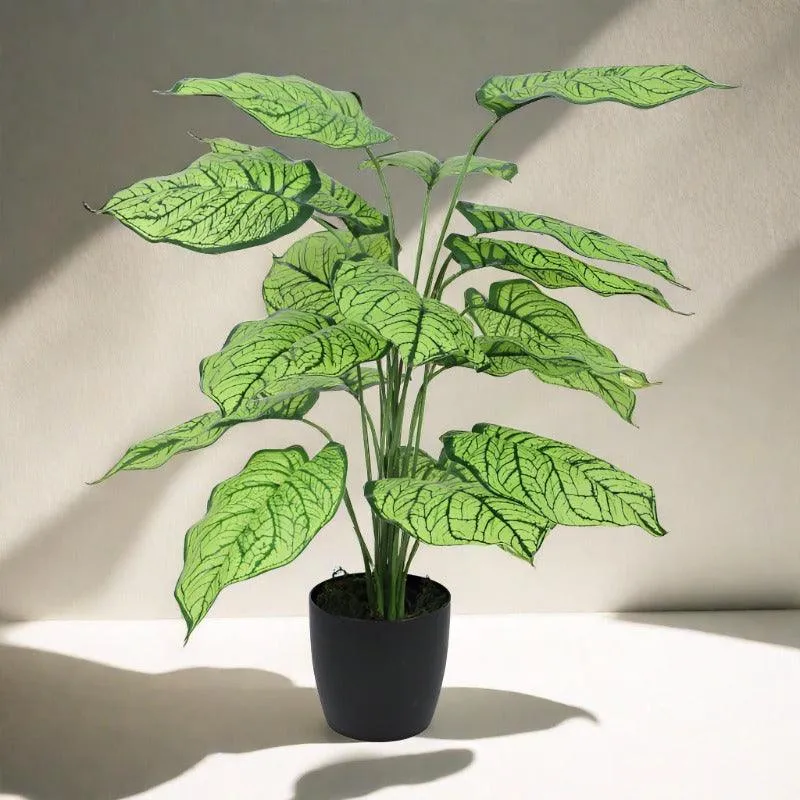 Faux Silk Plant With Black Plastic Pot - 2.13 ft media 3