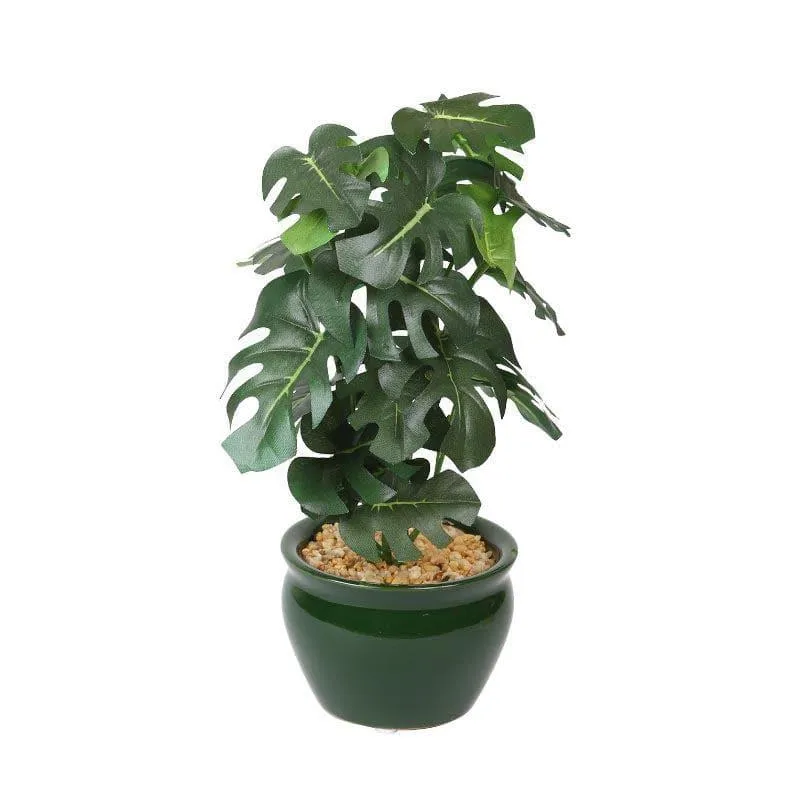 Faux Philodendron Bonsai In Ceramic Pot (28 cms) - Small media 3