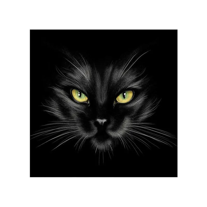 Mysterious Black Cat Poly Canvas Wall Painting media 5