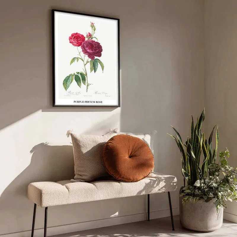 Purple French Rose Joseph Redout Archival Canvas Wall Painting - Black Frame media 4
