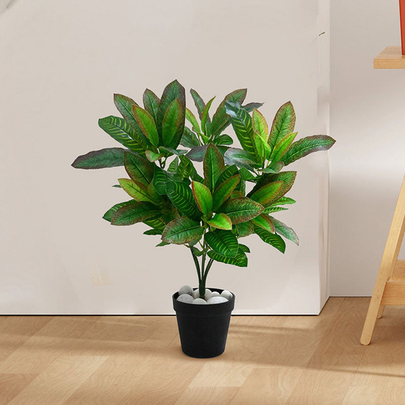 Faux Everlasting Croton Plant With Black Plastic Pot - 51 cm media 3