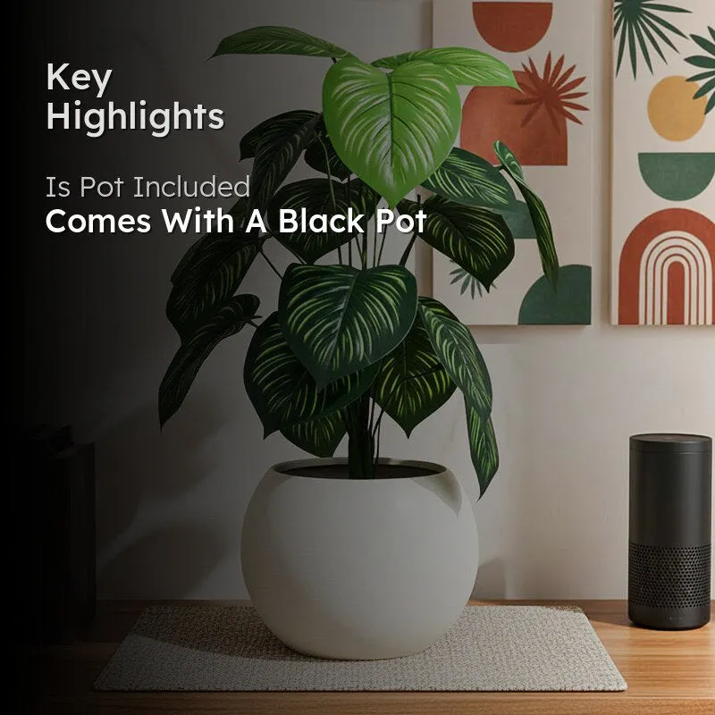 Artificial Money Plant With Black Plastic Pot - 2 ft media 2