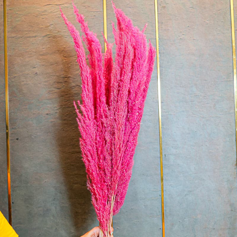 Dark Pink