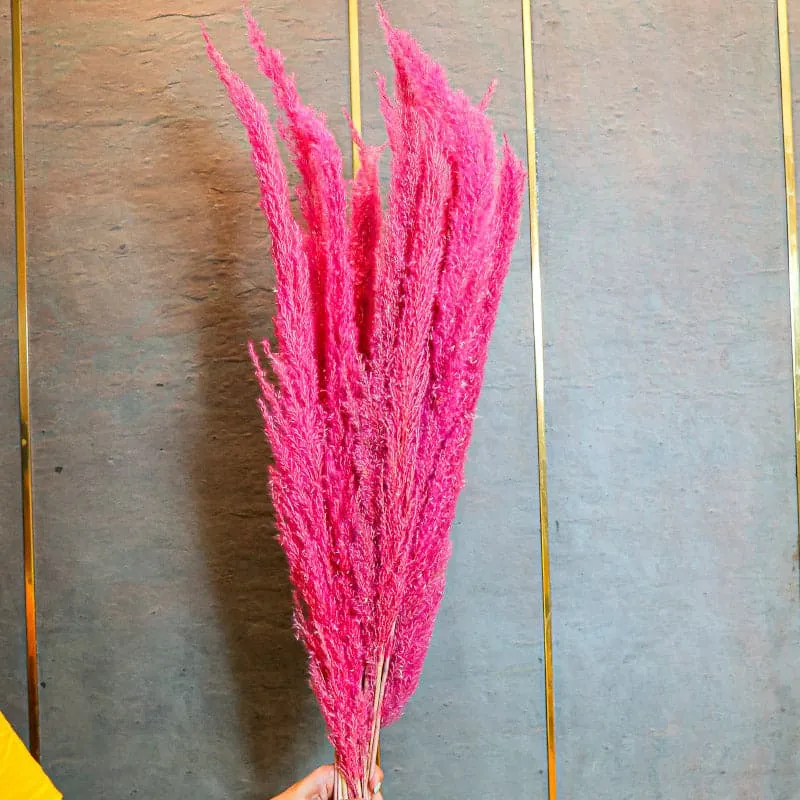 Naturally Dried Pampas Flower Bunch (Dark Pink) - Set Of Ten media 1