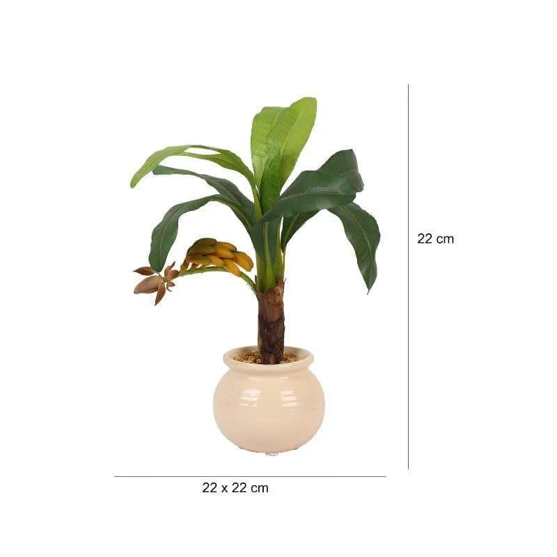 Faux Banana Bonsai In Ceramic Pot (24 cms) - Small media 5
