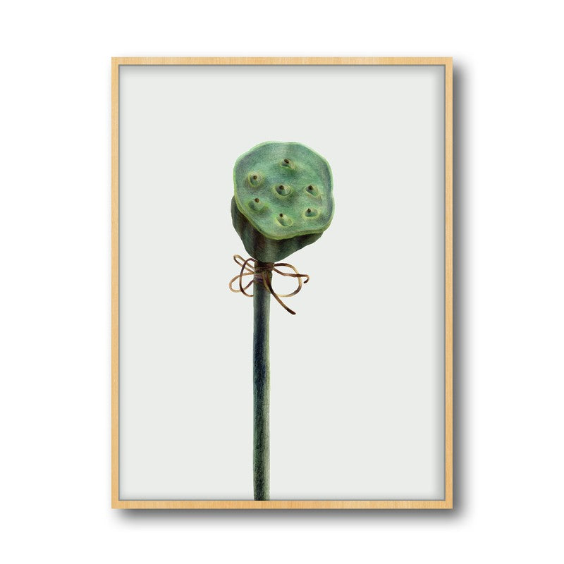 Lotus Pad Archival Paper Wall Art  - Natural Brown Frame media 6