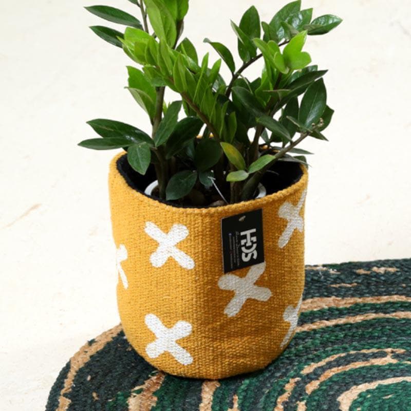 Dreamcatcher Delight Cotton Planter media 3