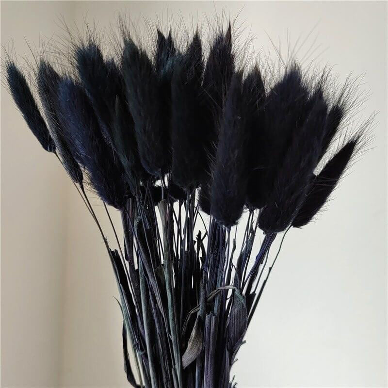 Dried Bunny Tail Stem (Black) - Set Of Thirty media 3