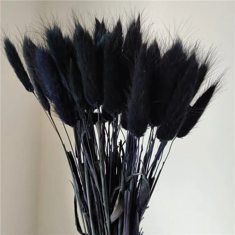 Dried Bunny Tail Stem (Black) - Set Of Thirty media 3