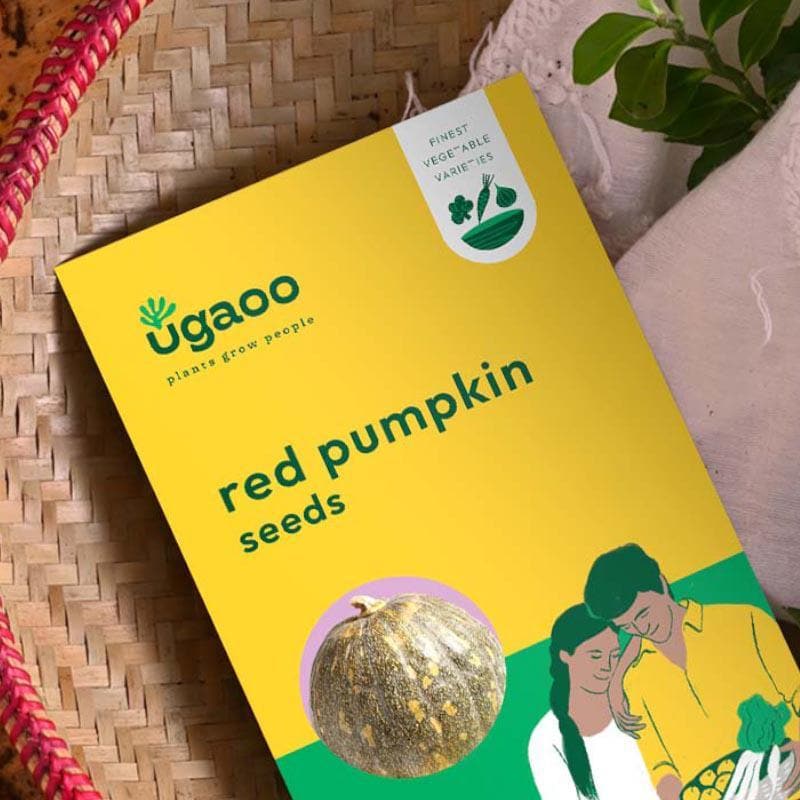 Ugaoo Red Pumpkin Seeds media 3