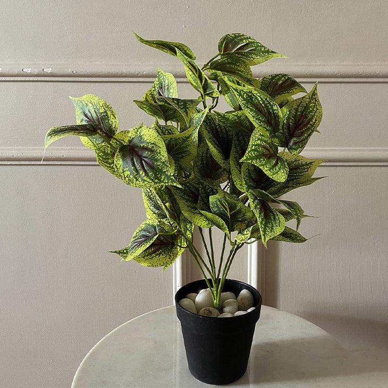 Faux Everlasting Dragon Heart Coleus Plant With Black Plastic Pot - 48 cm media 3