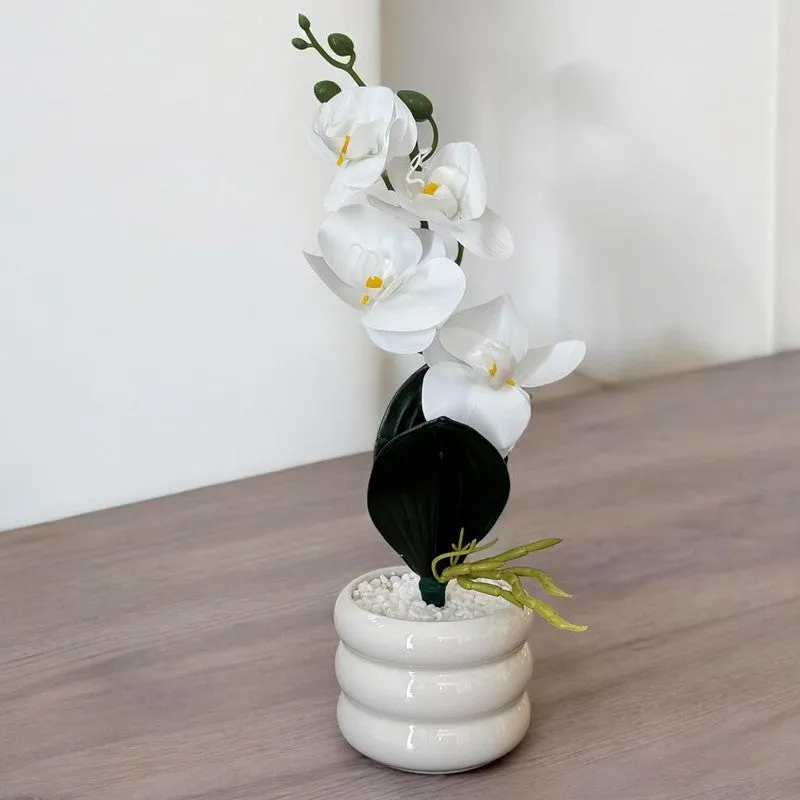 Espiral Orchid Ceramic Vase with flower - White media 1