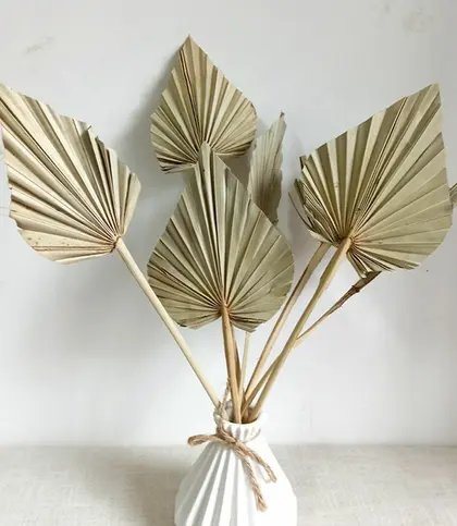 Dried Flowers & Leaves