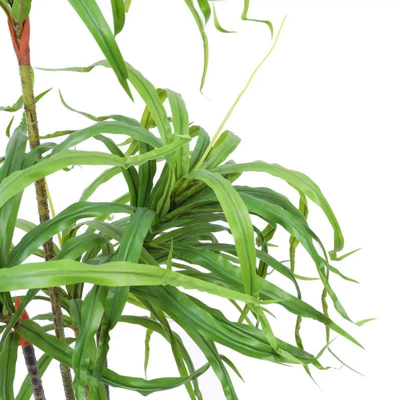 Artificial Realistic Dracaena Plant With Black Plastic Pot - 4.9 Feet media 7