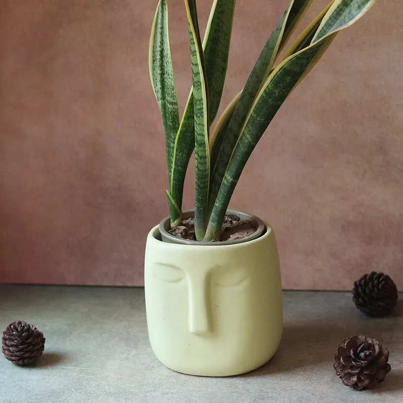 Chehra Ceramic Planter media 2