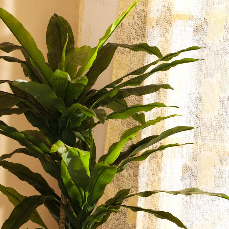 Artificial Realistic Dracaena Plant With Black Plastic Pot - 5.6 Feet image 4