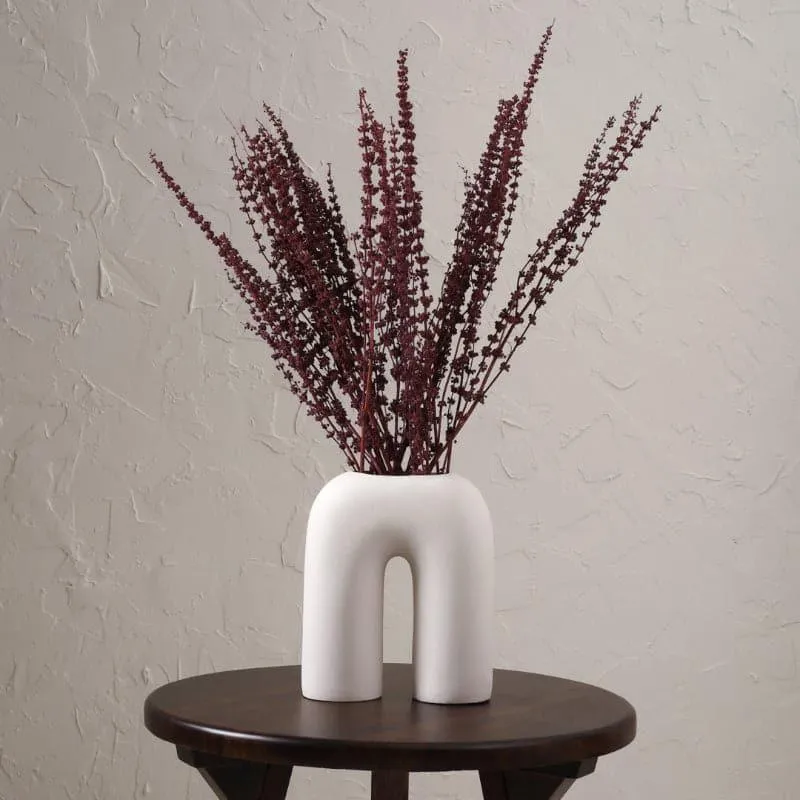 Plato Millet Grass Dried Palm Grass Bunch - Red media 3